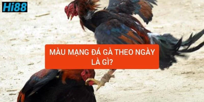 Bảng màu mạng gà đá theo ngày ngũ hành gà đá chuẩn 1 mau-mang-da-ga-theo-ngay-la-gi