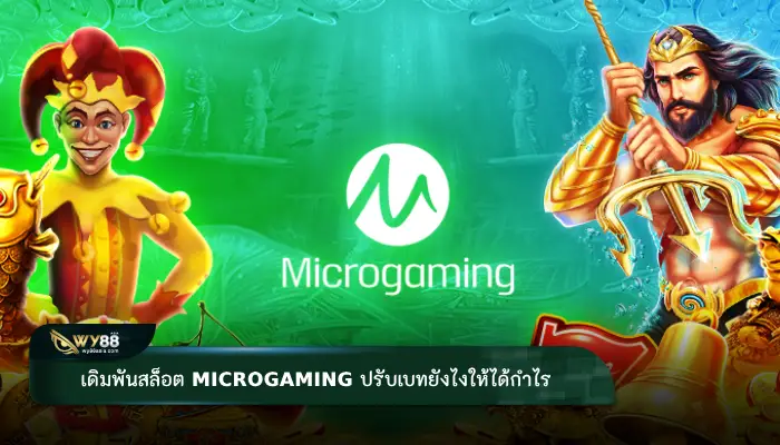 เดิมพันสล็อต microgaming ปรับเบทยังไงให้ได้กำไร
